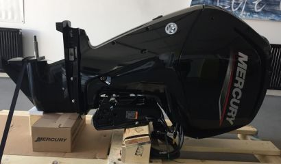 MERCURY F 100 EFI ELPT