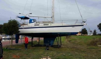 Námořní plachetnice Námořní plachetnice