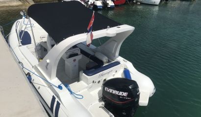 Revenger 19.50 Evinrude 115HP Etec