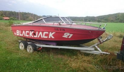 Sea Ray 180 v8 5,0L